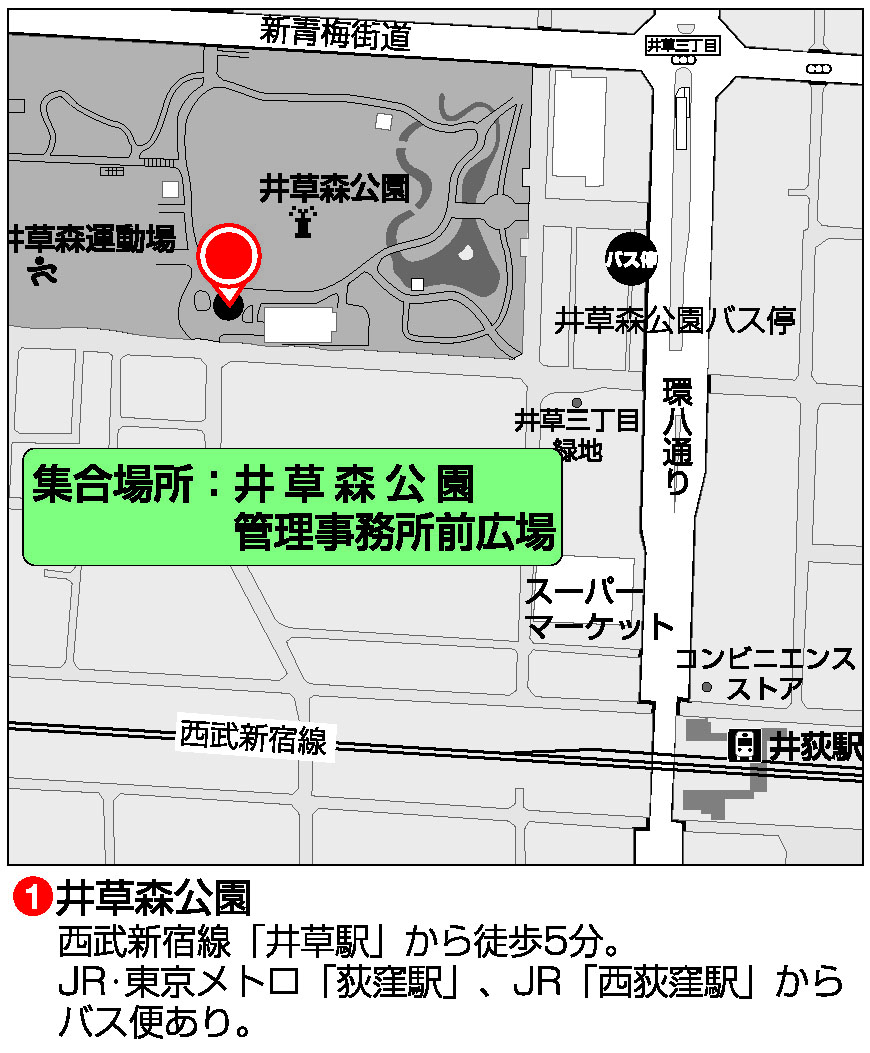 井草森公園 杉並さわやかウォーキング